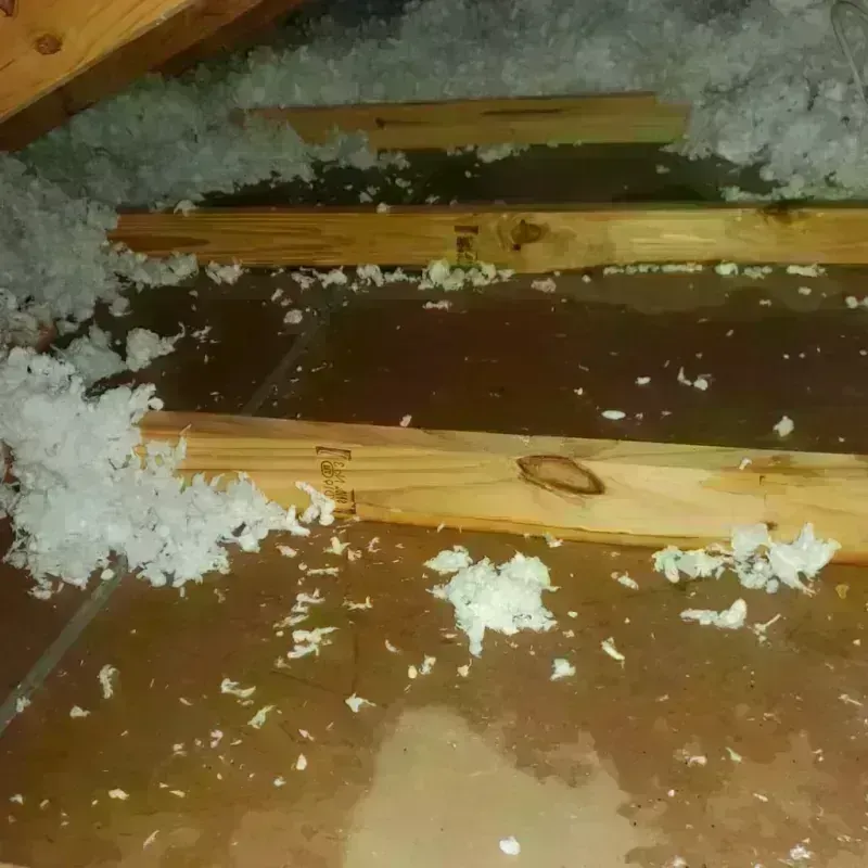 Attic Water Damage in Wayne, ME