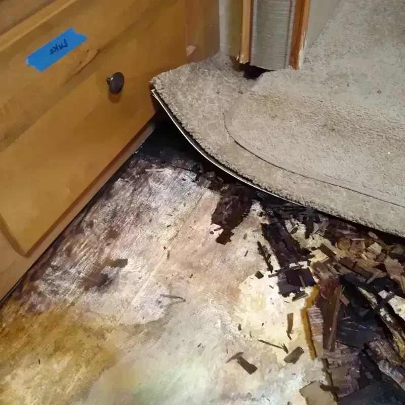 Wood Floor Water Damage in Wayne, ME